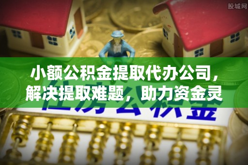 横县小额公积金提取代办公司，解决提取难题，助力资金灵活使用
