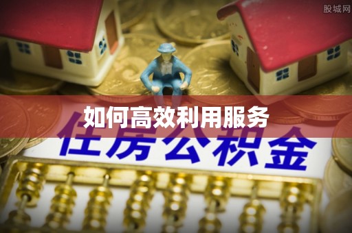 横县如何高效利用服务