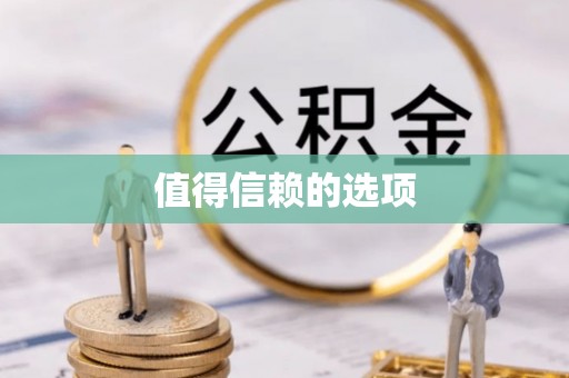 横县值得信赖的选项