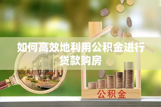 横县如何高效地利用公积金进行贷款购房